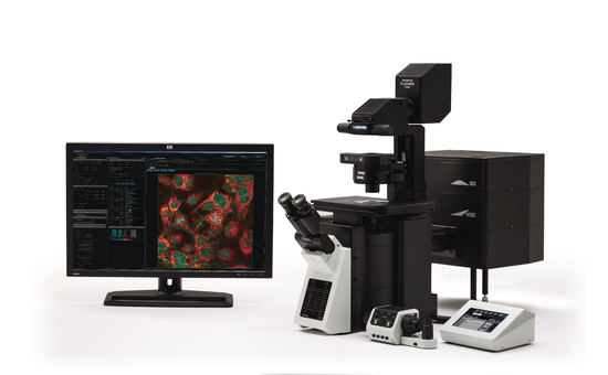 Konfokales Laser-Scanning-Mikroskop